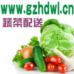 為什么要吃有機蔬菜？廣州農(nóng)產(chǎn)品配送公司gzhdwl.cn為您解讀健康生活新風尚