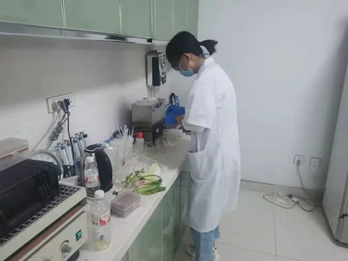 四大農貿市場抽檢結果公布，36批次食用農產品安全有保障
